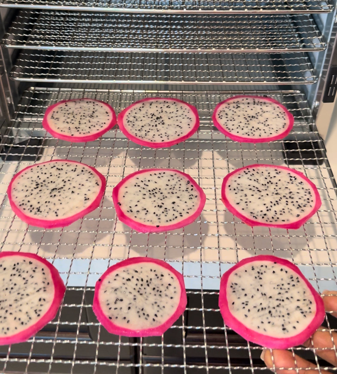 Dehydrated Dragon Fruit